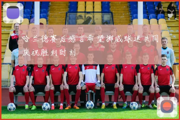 哈兰德赛后感言希望挪威球迷共同庆祝胜利时刻
