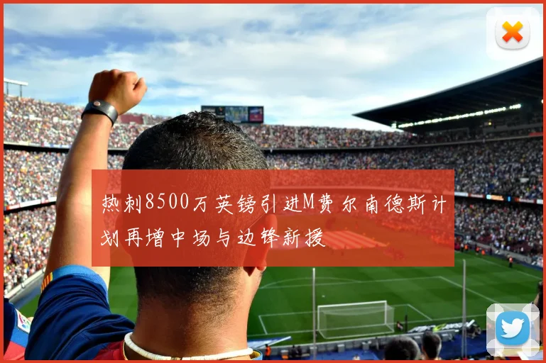 热刺8500万英镑引进M费尔南德斯计划再增中场与边锋新援